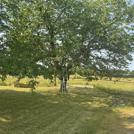 D'hotes Au Coeur De La Mayenne Bed & Breakfast